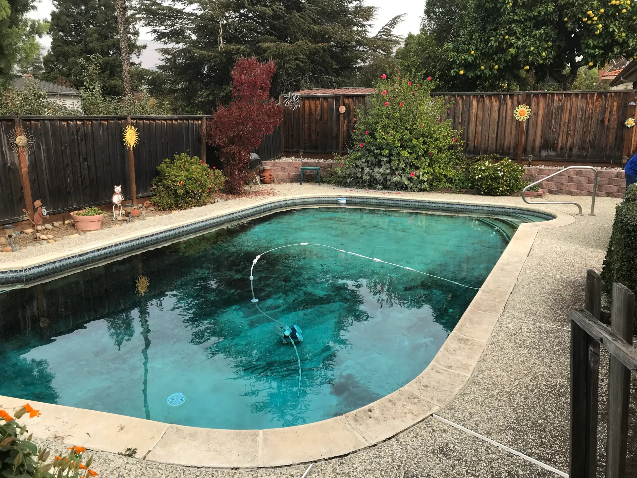 Picture of BEFORE: This pool was in disrepair and needed to be renovated. - Koch & Associates, Inc.