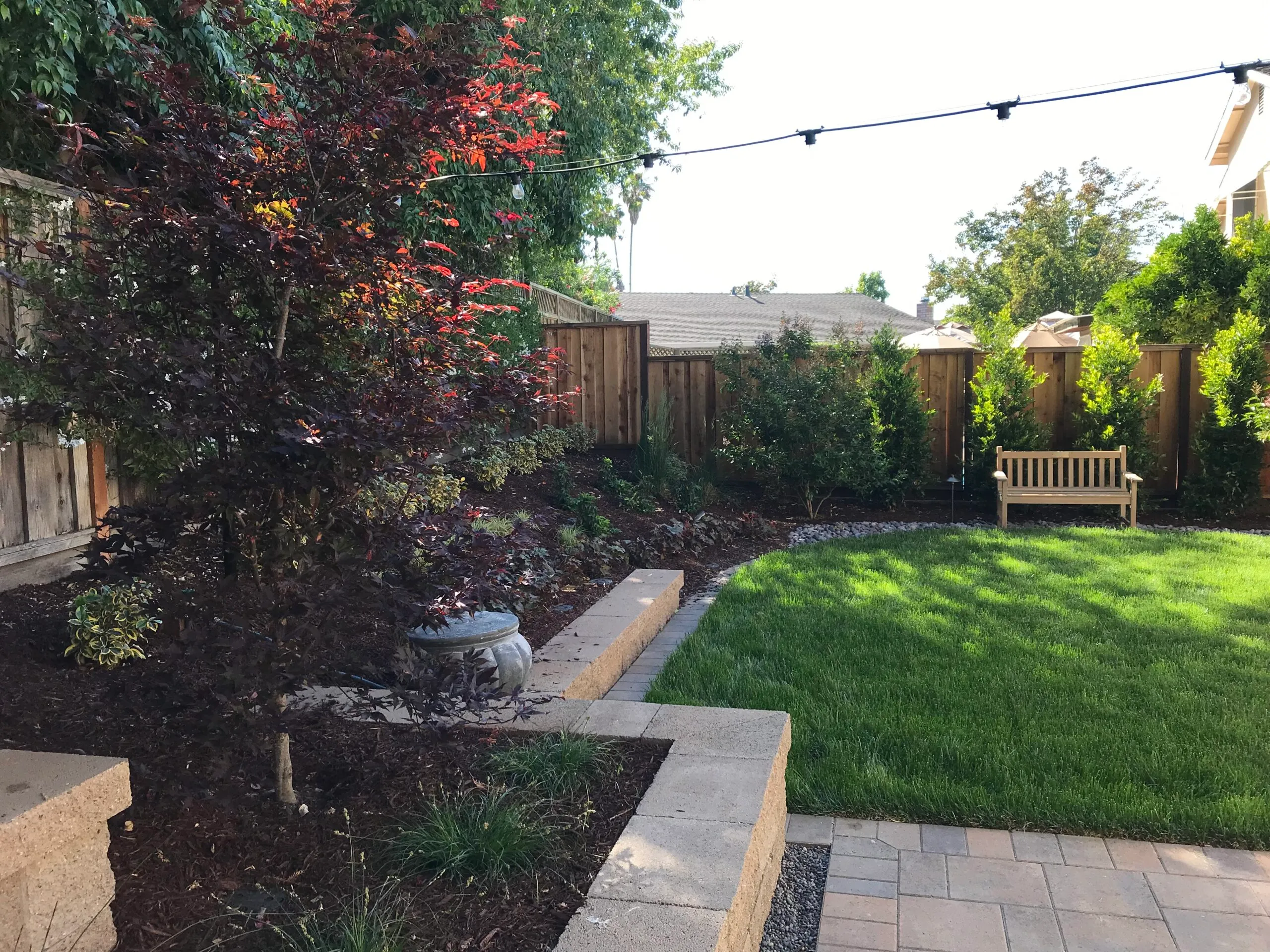 Picture of This renovated backyard features a new paver patio new trees a new lawn and overhead patio lights. - Koch & Associates, Inc.