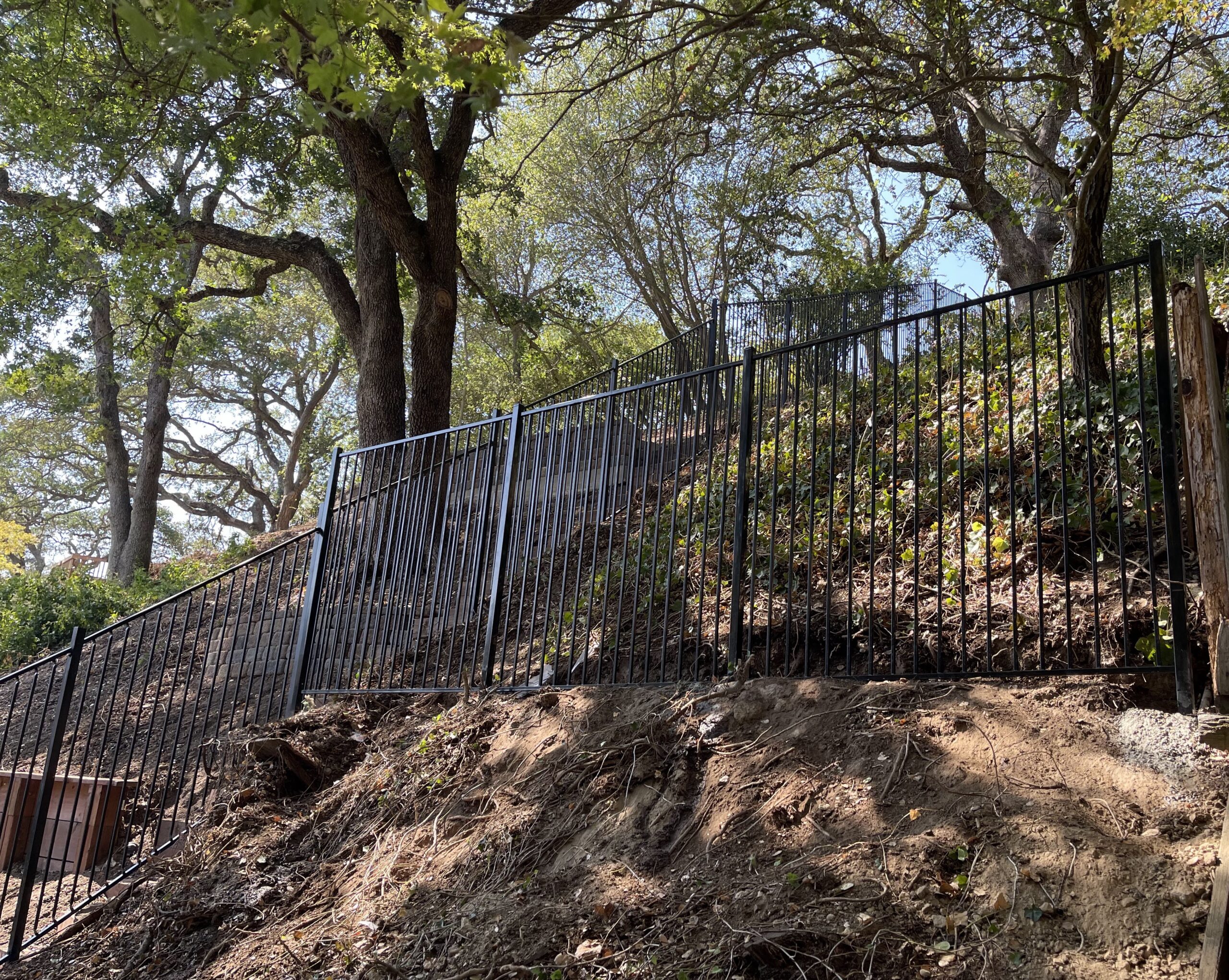 Picture of AMM Fencing installed this ornamental iron gate. - AMM Fencing