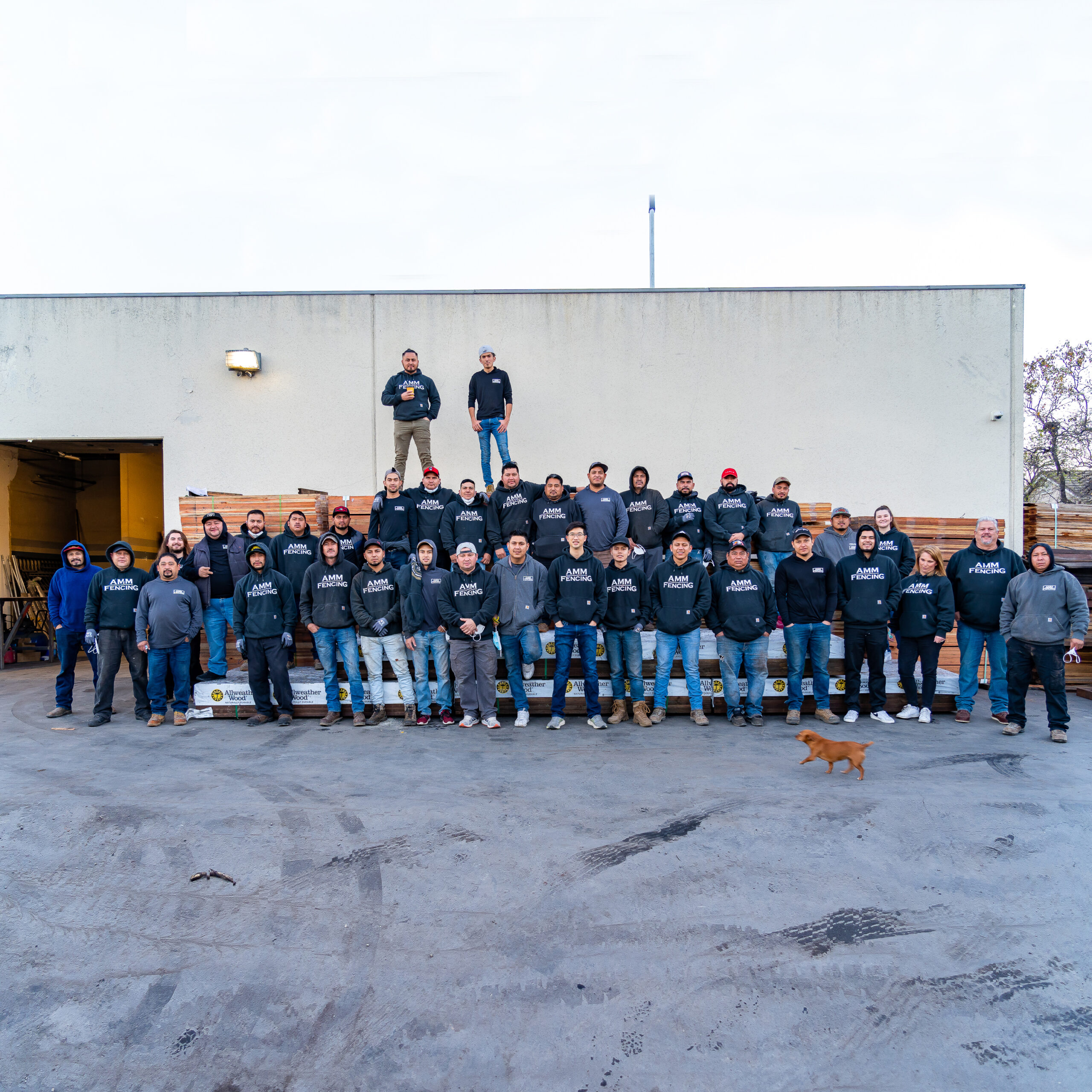 Picture of AMM Fencing’s staff members pride themselves on delivering premium customer experiences. - AMM Fencing