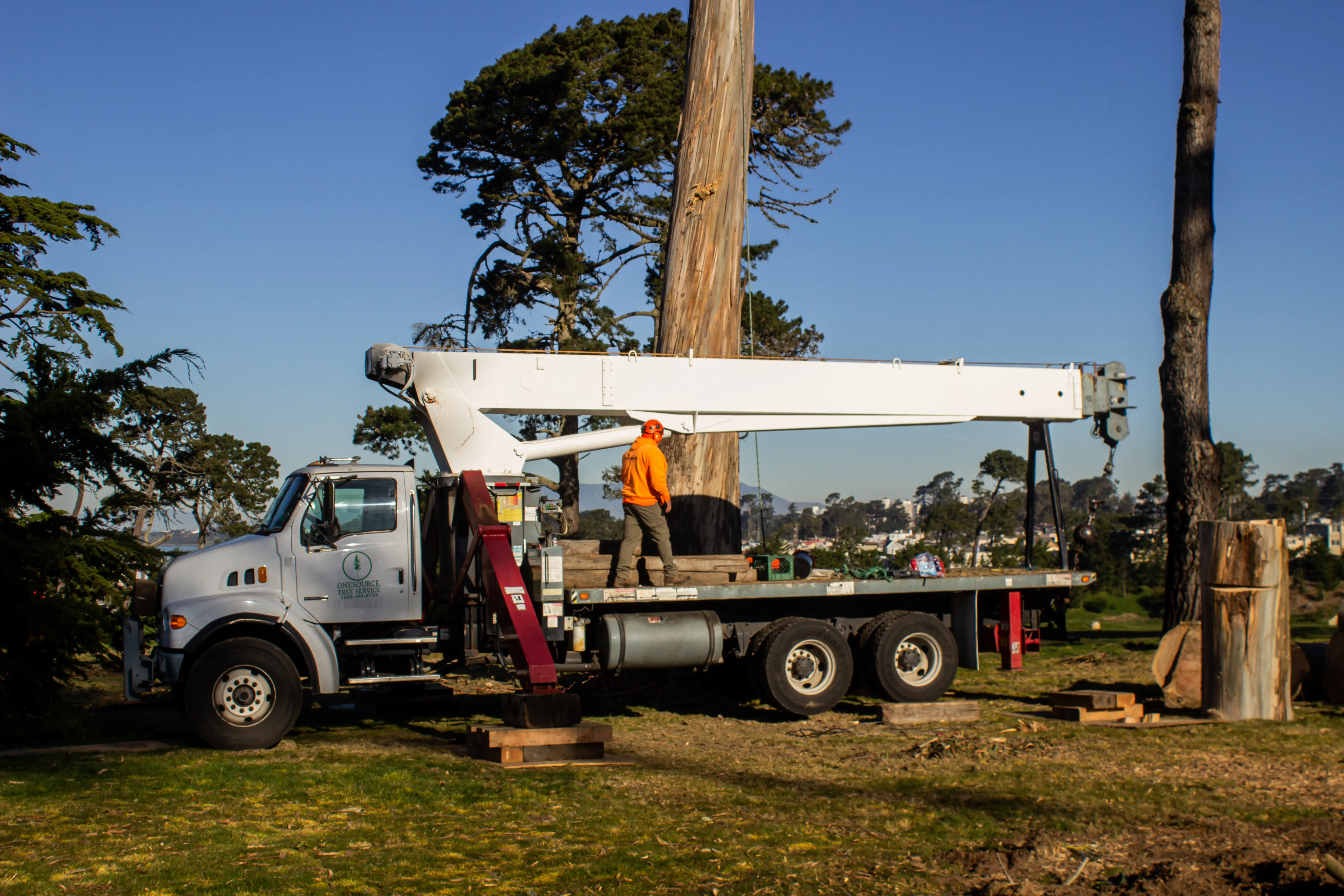 Picture of OneSource Tree Service Inc. - OneSource Tree Service Inc.